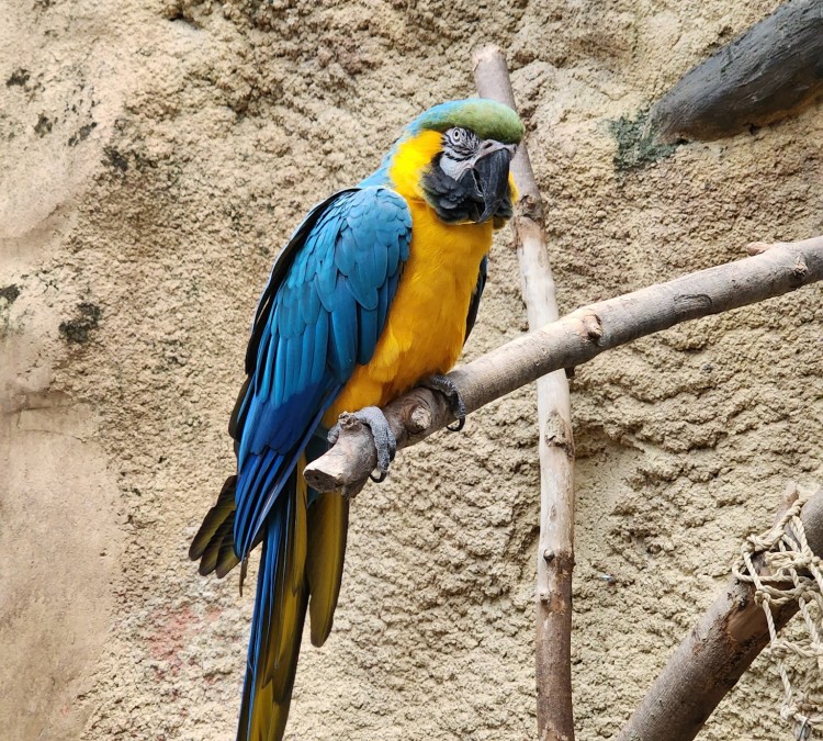 henry-vilas-zoo-photo
